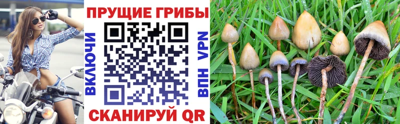 ОМГ ОМГ   Долгопрудный  Галлюциногенные грибы мухоморы 